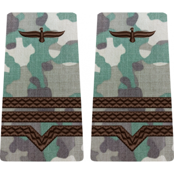 GRADE COMBAT TERESTRU MAISTRU MILITAR CLASA 3 Aviația Română (Forțele Aeriene )